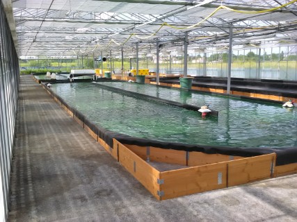 Cliquez pour agrandir l'image