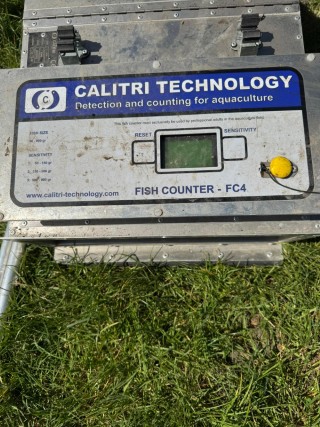 Cliquez pour agrandir l'image