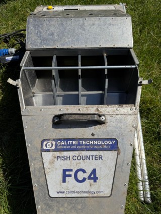 Cliquez pour agrandir l'image