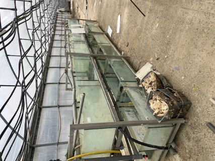 Cliquez pour agrandir l'image