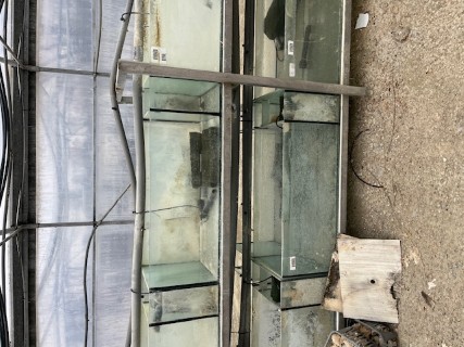 Cliquez pour agrandir l'image